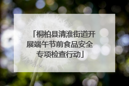 桐柏县清淮街道开展端午节前食品安全专项检查行动