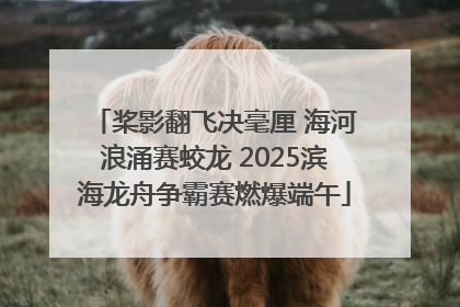 桨影翻飞决毫厘 海河浪涌赛蛟龙 2025滨海龙舟争霸赛燃爆端午