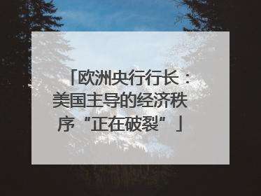 欧洲央行行长：美国主导的经济秩序“正在破裂”