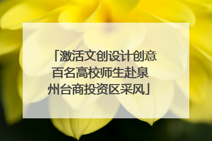 激活文创设计创意 百名高校师生赴泉州台商投资区采风