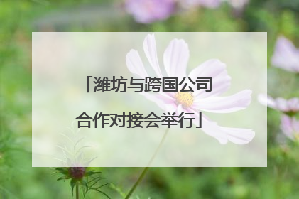 潍坊与跨国公司合作对接会举行