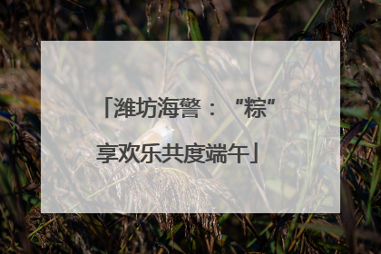 潍坊海警：“粽”享欢乐共度端午