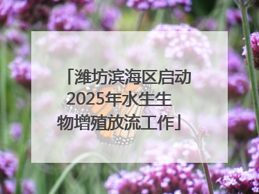 潍坊滨海区启动2025年水生生物增殖放流工作