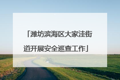 潍坊滨海区大家洼街道开展安全巡查工作