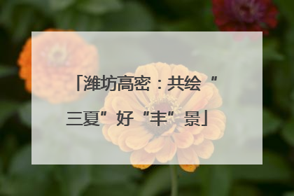 潍坊高密：共绘“三夏”好“丰”景