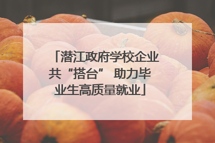 潜江政府学校企业共“搭台” 助力毕业生高质量就业