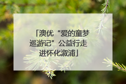 澳优“爱的童梦巡游记”公益行走进怀化溆浦