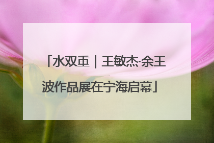 水双重｜王敏杰·余王波作品展在宁海启幕