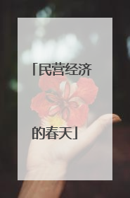 民营经济的春天