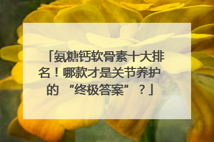 氨糖钙软骨素十大排名！哪款才是关节养护的 “终极答案”？