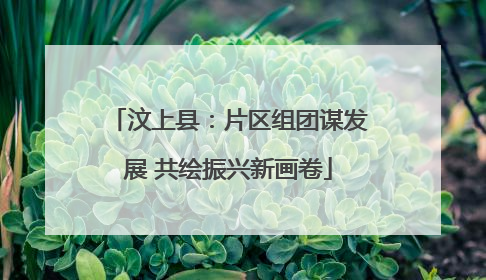 汶上县：片区组团谋发展 共绘振兴新画卷