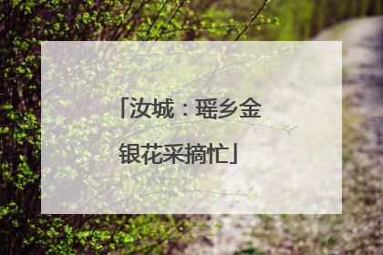 汝城：瑶乡金银花采摘忙