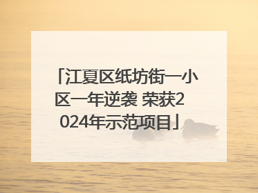 江夏区纸坊街一小区一年逆袭 荣获2024年示范项目