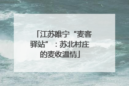 江苏睢宁“麦客驿站”：苏北村庄的麦收温情