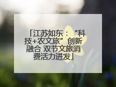 江苏如东：“科技+农文旅”创新融合 双节文旅消费活力迸发