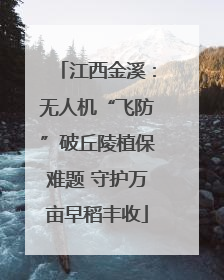 江西金溪：无人机“飞防”破丘陵植保难题 守护万亩早稻丰收
