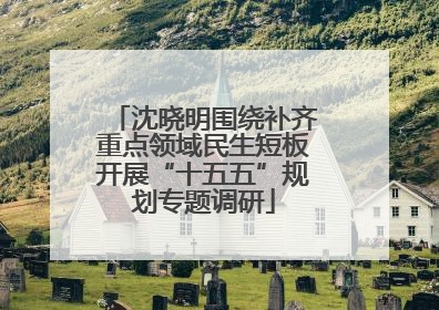 沈晓明围绕补齐重点领域民生短板开展“十五五”规划专题调研