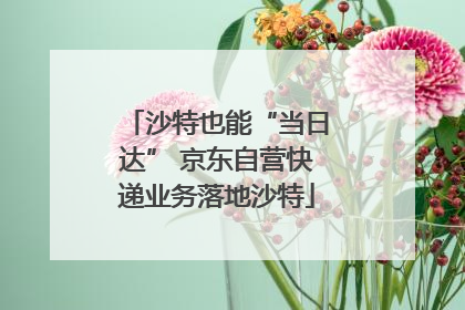 沙特也能“当日达” 京东自营快递业务落地沙特