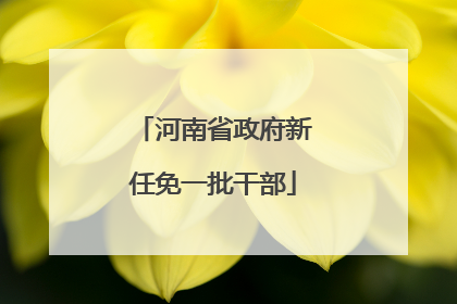 河南省政府新任免一批干部