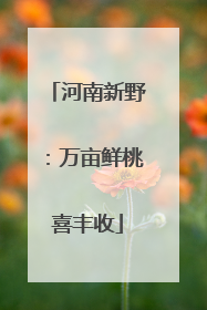 河南新野：万亩鲜桃喜丰收