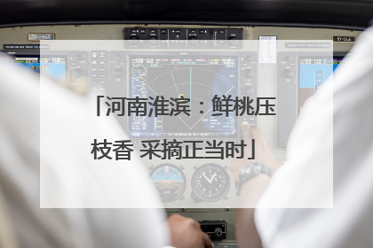 河南淮滨：鲜桃压枝香 采摘正当时