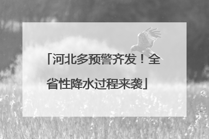 河北多预警齐发！全省性降水过程来袭