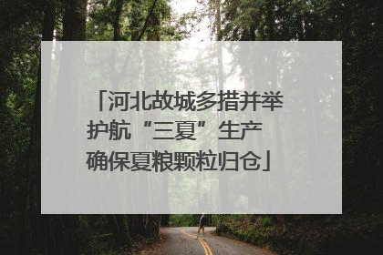 河北故城多措并举护航“三夏”生产 确保夏粮颗粒归仓