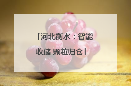 河北衡水：智能收储 颗粒归仓