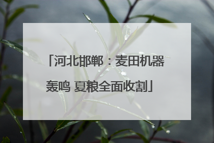 河北邯郸：麦田机器轰鸣 夏粮全面收割