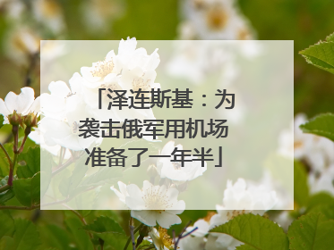 泽连斯基：为袭击俄军用机场准备了一年半