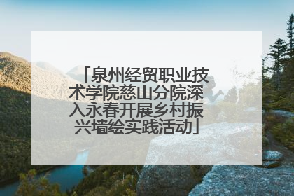 泉州经贸职业技术学院慈山分院深入永春开展乡村振兴墙绘实践活动