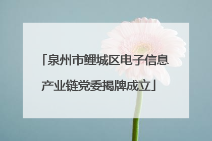 泉州市鲤城区电子信息产业链党委揭牌成立
