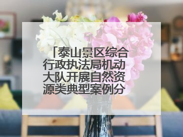 泰山景区综合行政执法局机动大队开展自然资源类典型案例分析交流活动