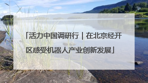 活力中国调研行｜在北京经开区感受机器人产业创新发展