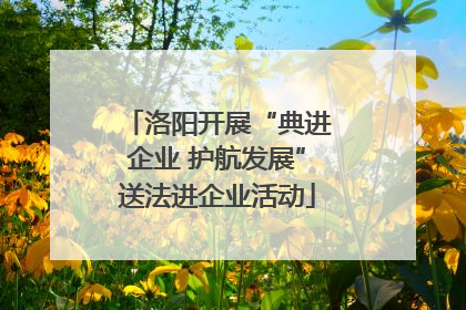 洛阳开展“典进企业 护航发展”送法进企业活动