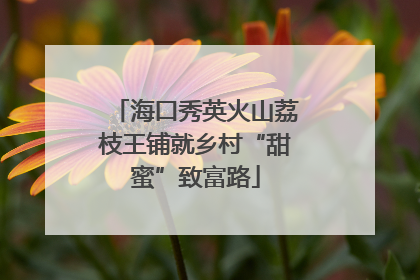 海口秀英火山荔枝王铺就乡村“甜蜜”致富路