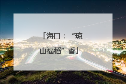 海口：“琼山福稻”香