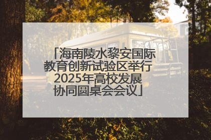 海南陵水黎安国际教育创新试验区举行2025年高校发展协同圆桌会会议