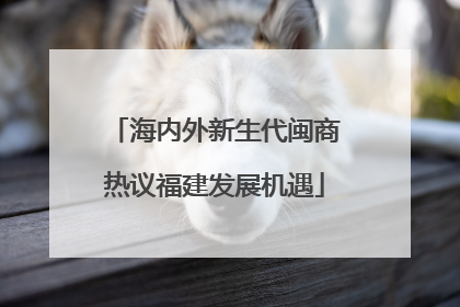海内外新生代闽商热议福建发展机遇