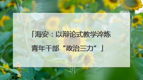 海安：以辩论式教学淬炼青年干部“政治三力”