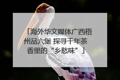 海外华文媒体广西梧州品六堡 探寻千年茶香里的“乡愁味”