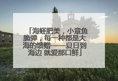 海蛏肥美，小章鱼脆弹，每一种都是大海的馈赠——夏日到海边 就爱那口鲜