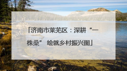 济南市莱芜区：深耕“一株桑” 绘就乡村振兴图