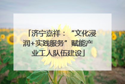 济宁嘉祥：“文化浸润+实践服务”赋能产业工人队伍建设
