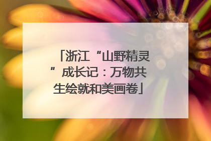浙江“山野精灵”成长记：万物共生绘就和美画卷