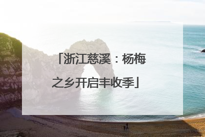 浙江慈溪：杨梅之乡开启丰收季