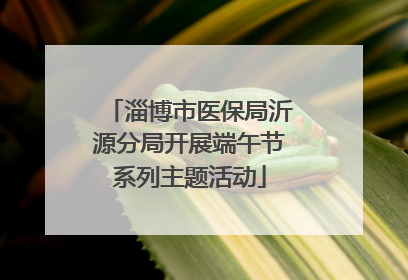 淄博市医保局沂源分局开展端午节系列主题活动