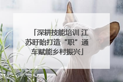 深耕技能培训 江苏盱眙打造“职”通车赋能乡村振兴