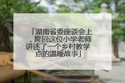 湖南省委座谈会上，隆回这位小学老师讲述了一个乡村教学点的温暖故事
