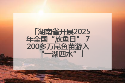 湖南省开展2025年全国“放鱼日” 7200多万尾鱼苗游入“一湖四水”